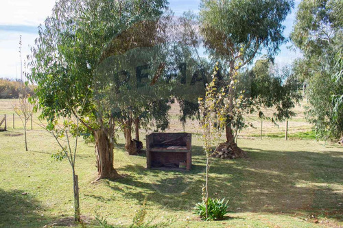 Alquiler Casa Con Amplio Terreno Rincon De Pando