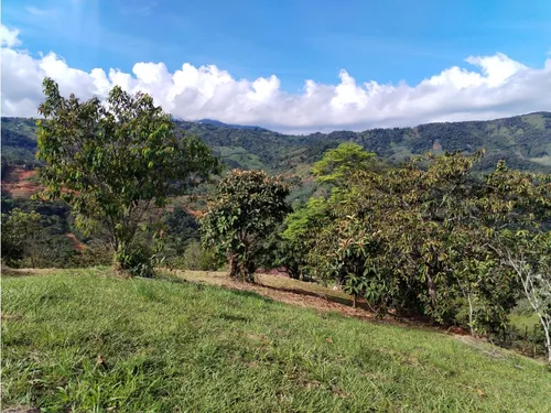 Lote En Venta, Los Cedros, Cocorná