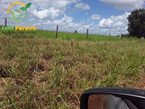 Imagem 10 de 12 de Fazenda À Venda Em Conceição Do Araguaia -pa-4.854.52 Hec. (d. Aptidão) - 2091