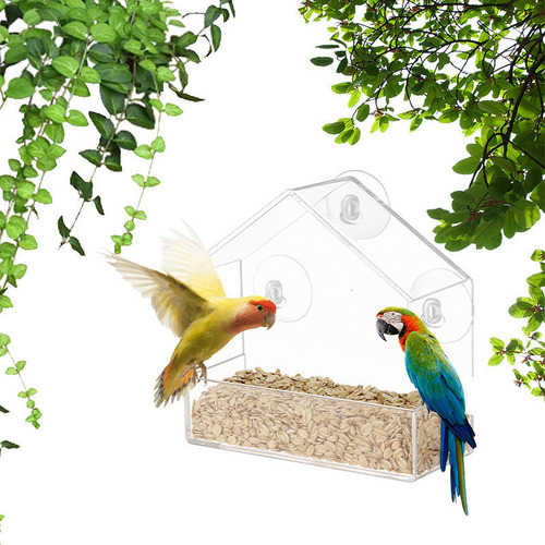 Comedero Para Pájaros Transparente Con Ventana, Caja Para Pá