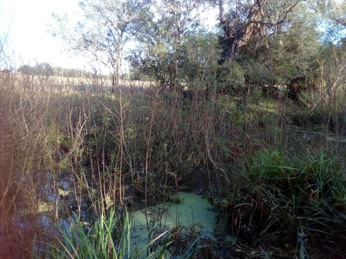 Olmos, A Minutos De Centro De Pando Chacra Venta Facilidades