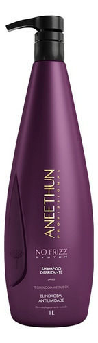 Kit Aneethun No Frizz - Shampoo 1l + Máscara 1kg