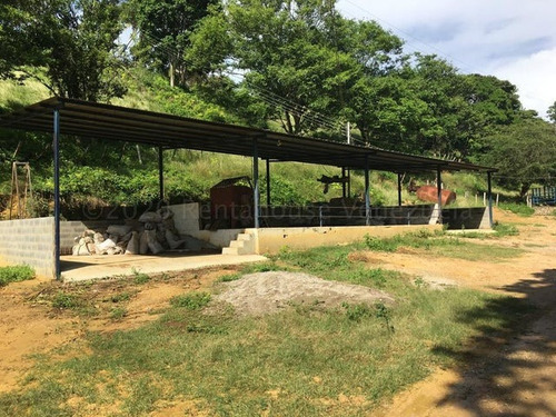 Imagen 14 de 30 de &&& Finca En Venta Aroa Yaracuy Rah 23-4755 // Invierta Seguro Con Rentahouse//