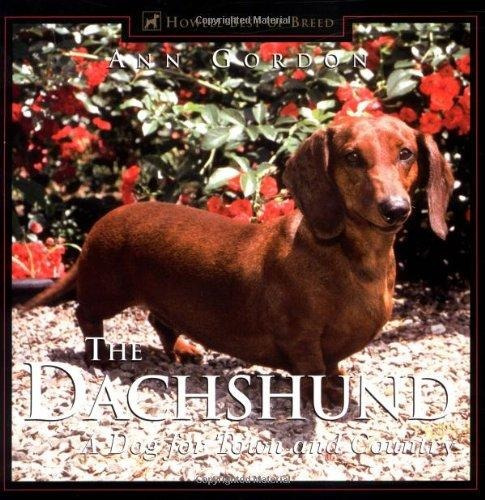 Dachshund, The : A Dog For Town And Country