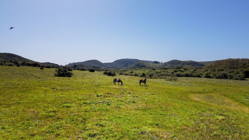 Imagen 6 de 13 de Chacra Campo En Venta En Aguas Blancas, Lavalleja, Mataojo (ref: Atm-6840)