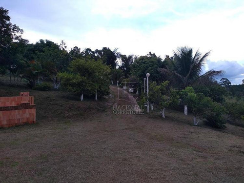 Imagem 16 de 19 de Chácara Com 4 Dormitórios À Venda, 20000 M² Por R$ 456.000,00 - Campo Alegre Iv - Bofete/sp - Ch0021
