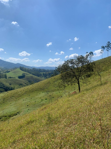 Imagem 3 de 7 de K22-rurais A Venda Próximo A Guarulhos