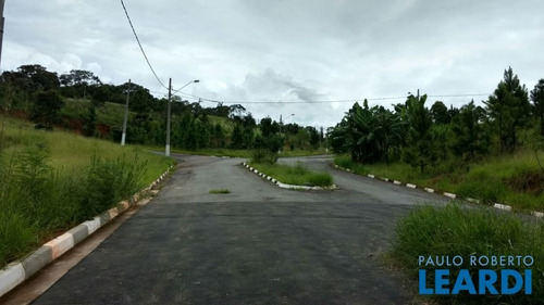 Imagem 4 de 5 de Terreno - Jardim Cury - Sp - 493270