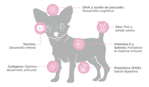 Nupec Cachorro Perro Raza Mini De 3 Kg