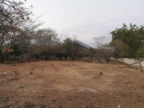 Imagen 1 de 4 de Terreno - Plan De Ayala