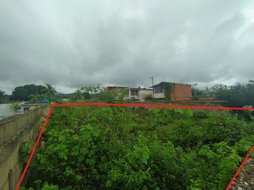 Imagen 5 de 6 de Terreno En Los Robles Excelente Inversion