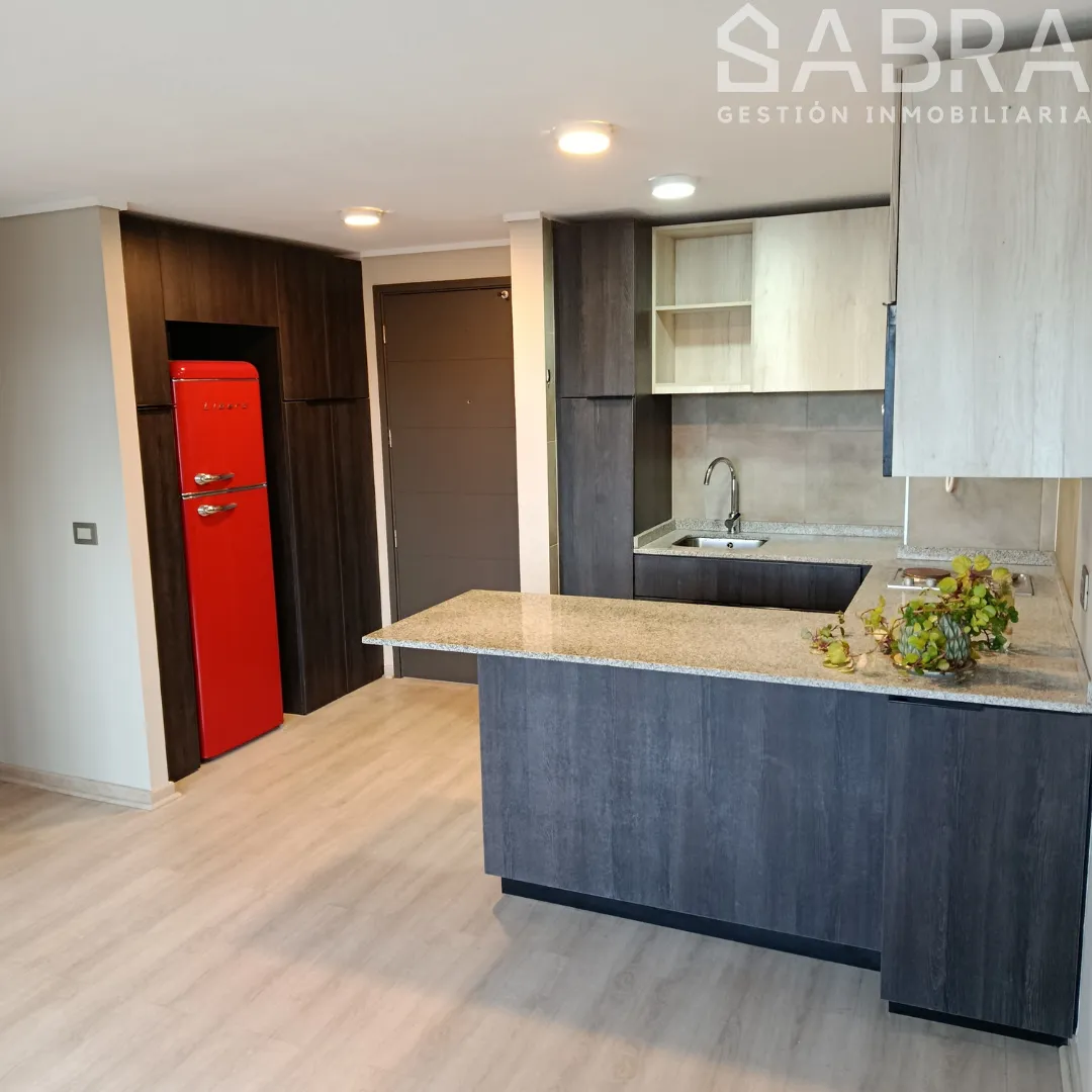 Imagen 4 de 17 de Se Arrienda Departamento En Centro De Concepción