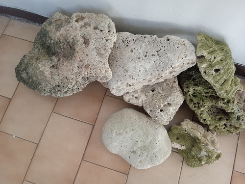 Rocas Coralinas Para Decorar Acuario 