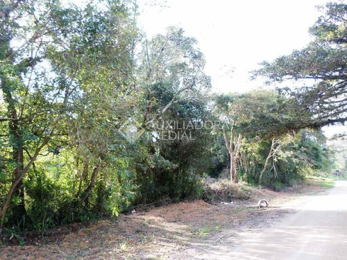 Imagem 7 de 10 de Terreno - Belem Novo - Ref: 226051 - V-226051