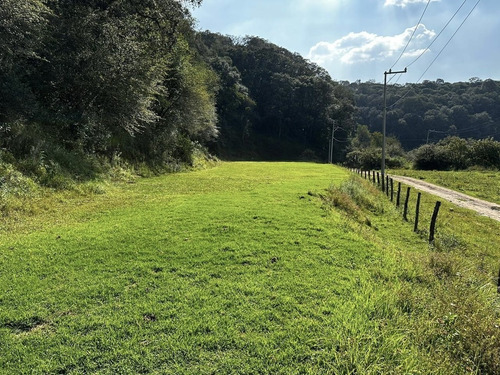 Terreno En Venta En Jilotzingo
