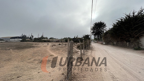 Arriendo Amplio Sitio Sector Pan De Azucar