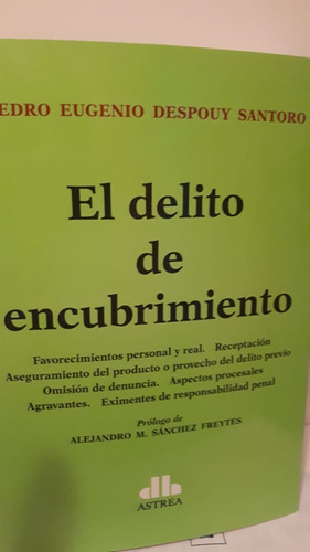 El Delito De Encubrimiento Despouy Santoro, Pedro E.