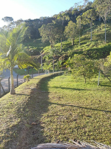 Imagem 2 de 5 de Terreno À Venda No Bairro Centro - Guabiruba/sc - 1889