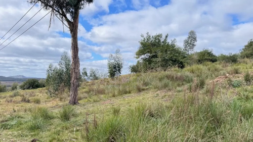 Se Vende Chacra 5 Has En Campanero En Un Alto Con Buena Camineria.