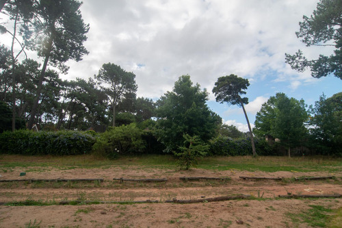 Venta Terreno, A Metros De La Playa, Pinares Punta Del Este