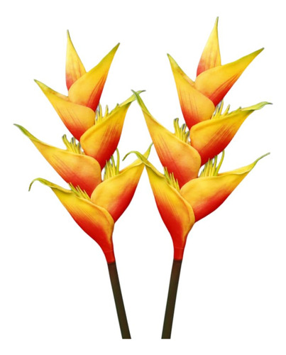 Xizhi Flores Artificiales Grandes De Tallo Heliconia, Plant.