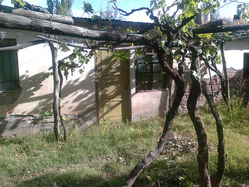 Finca En Rama Caida Una Hectarea Y Media Con Casa A Mejorar