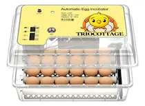 Comprar Incubadora De Huevos  24 Incubadoras Para Incubar Huevos Co
