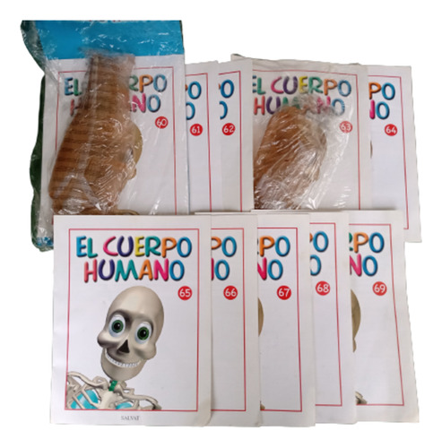 El Cuerpo Humano Colección Revistas Maquetas
