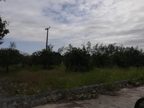 Terreno Comercial En Venta Puente Jula