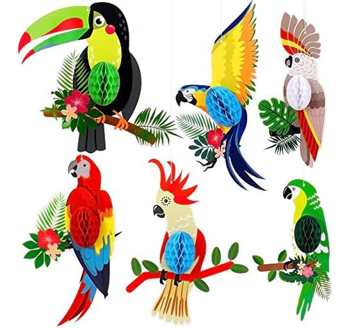 Katchon, Recortes De Panal De Pájaros Tropicales Grandes - P