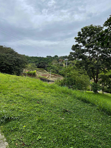 Imagen 1 de 4 de Vendo Lote