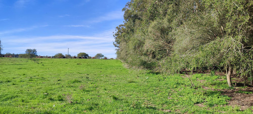 Venta Campo - Colonia Nueva - San Jose- E.r.