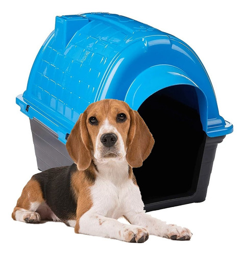 Casinha Iglu De Plástico Para Cães Furacão Pet Média Nº 4 Cor Azul