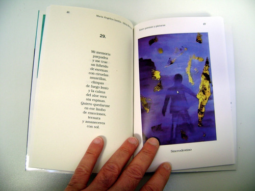 Entre Poemas Y Pinturas Ciordia Berrade Vergara Edic Boedo (Usado)