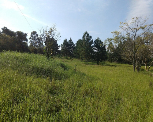 Chácara 5.600 M² - Poço Fundo - Parobé - Rs - 1741 - 32420262