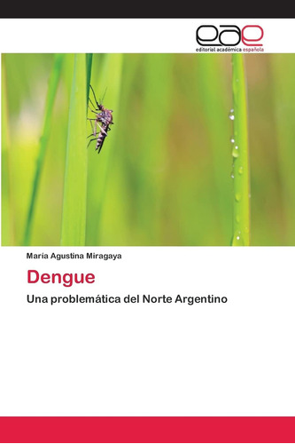 Libro: Dengue: Una Problemática Del Norte Argentino (spanish