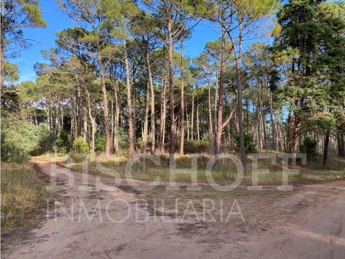 Lote En Carilo Barrio Zorzal Con Proyecto Y Planos Aprobados