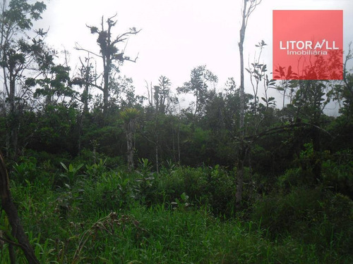 Imagem 4 de 4 de Área Residencial À Venda, Cidade Jardim Coronel, Itanhaém - Ar0013. - Ar0013