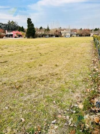 Imagen 5 de 5 de Vmaffia Vende Gran Terreno En Altos De Manzanares Unico!!!