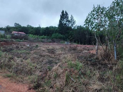 Imagem 8 de 8 de Cod -5650 - Terreno Em Ibiúna Com Poço E Energia - 5650