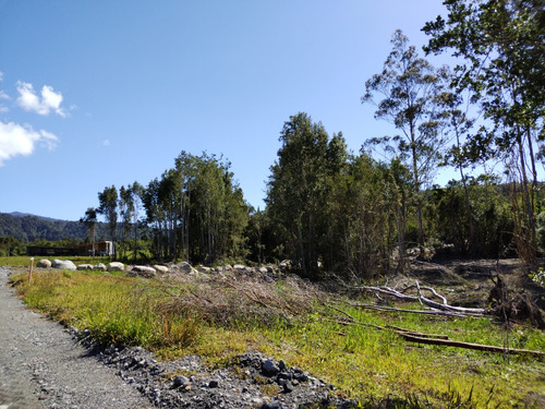 Parcela Urbanizada Con Bosque, Puerto Varas