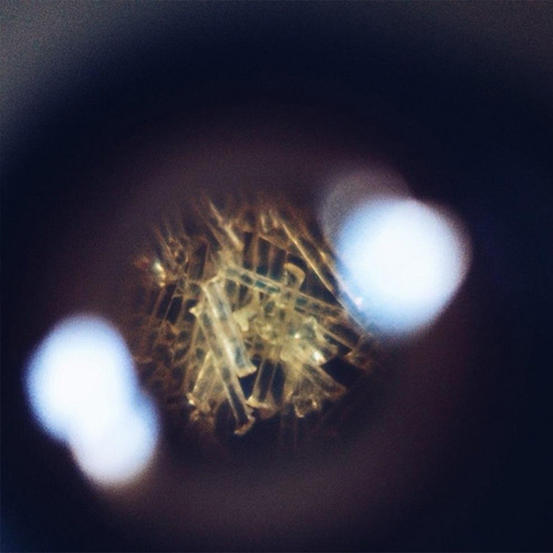 Imagen 2 de 6 de Led Microscopio Con Clip Contenedores Frascos Juguetes