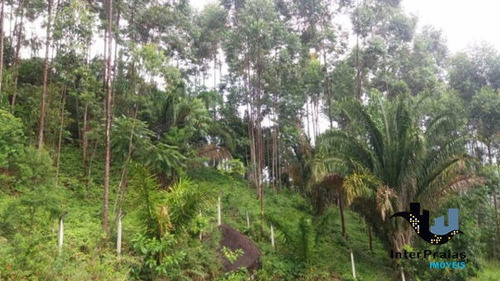 Imagem 5 de 11 de Rural Sitio Com 3 Quartos - 615449-v