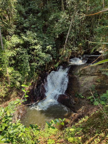 Imagem 2 de 12 de Terreno Em Miracatu-sp Medindo 8 Alqueires Com Cachoeira