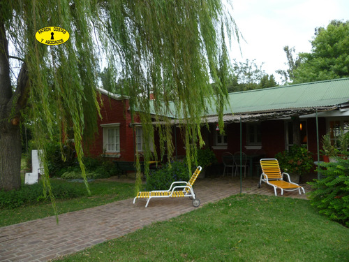Imagen 2 de 29 de 1554ml-venta 20 Ha, C/ Casa En La Mejor Zona Polera