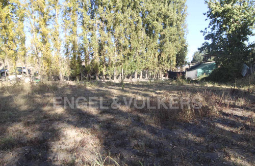 Terreno En Olivar