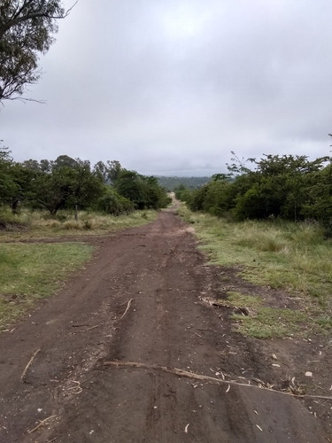 Imagen 4 de 6 de Los Reartes 4 Lotes De 700m2 C/uno. Entreg 4mil Y 3ctas 1600