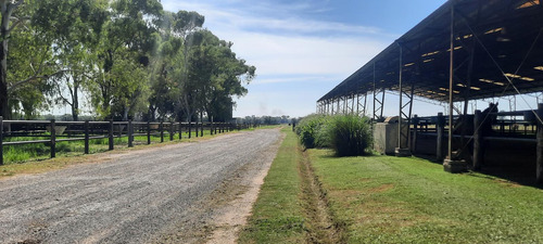 Venta Campo Haras San Andres De Giles