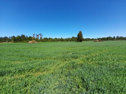 Se Vende Hermoso Campo En La Unión