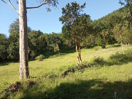 Parcela En Venta En Futrono - Llifen - 1.05 Hectáreas C/rio